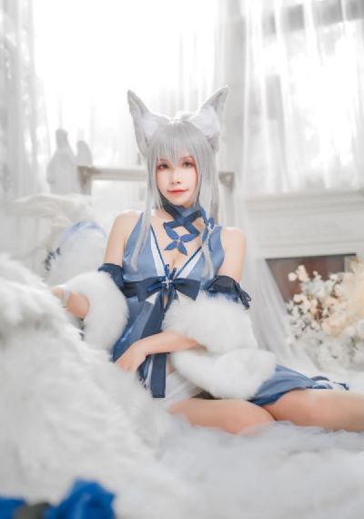 动物世界高清大全视频在线观看完整版