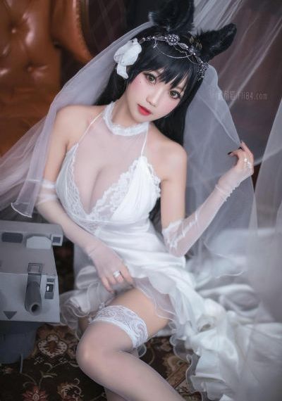 万山极夜全文免费阅读