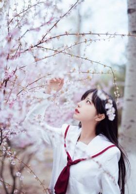 激战后厨4免费观看
